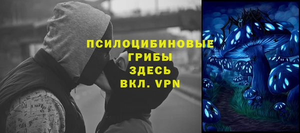 МДПВ Алексеевка