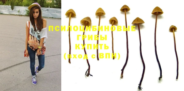гидра Алзамай